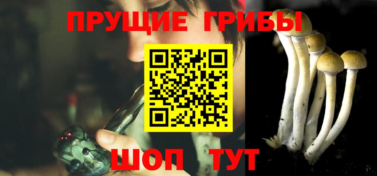 Сызрань  Псилоцибиновые грибы ЛСД  купить   Псилоцибиновые грибы Magic Shrooms  Вход с VPN 